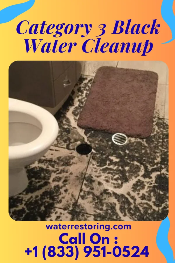 Category 3 Black Water Cleanup in Prosser, NE