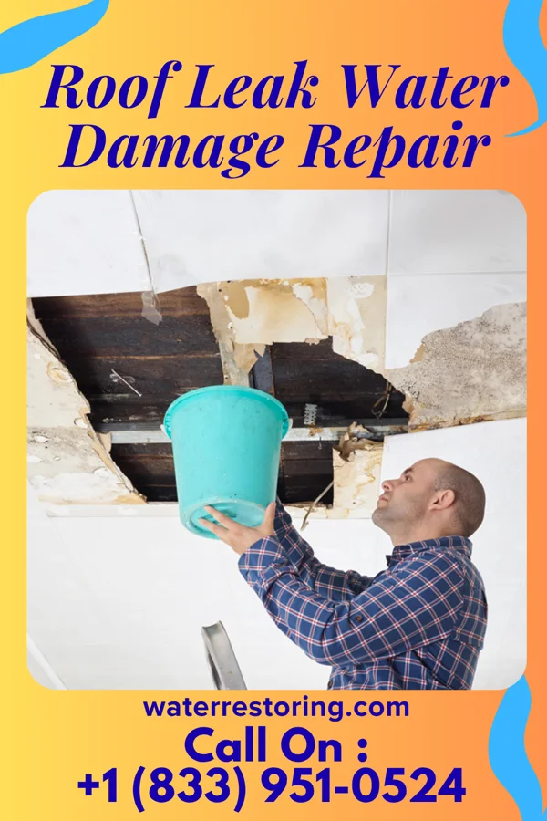 Roof Leak Water Damage Repair in Prosser, NE