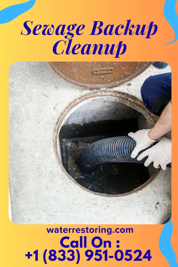 Sewage Backup Cleanup in Prosser, NE