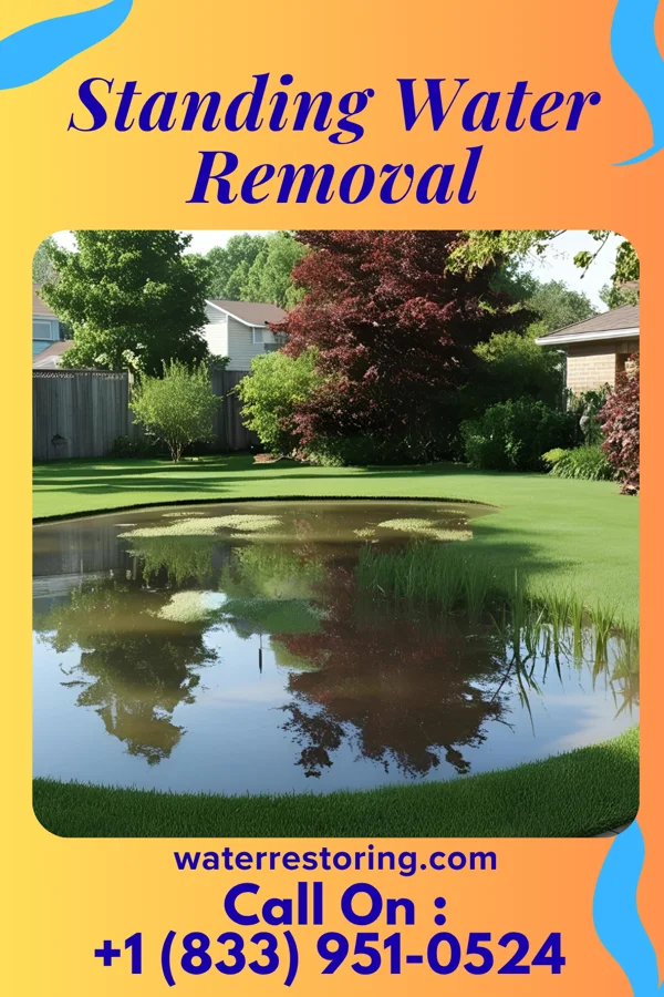 Standing Water Removal in Prosser, NE